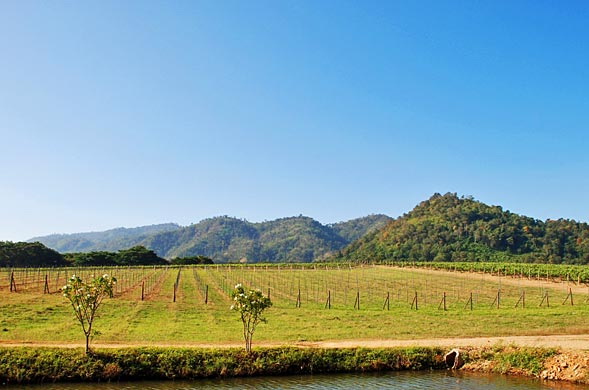 Forfait Khao Yai Golf Resort